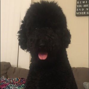 Meet your Posher, Derrienne